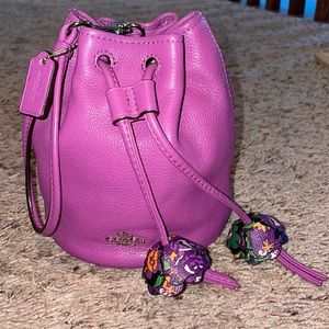 Coach Drawstring Handbag/Wrislet. Size small. Super adorable.